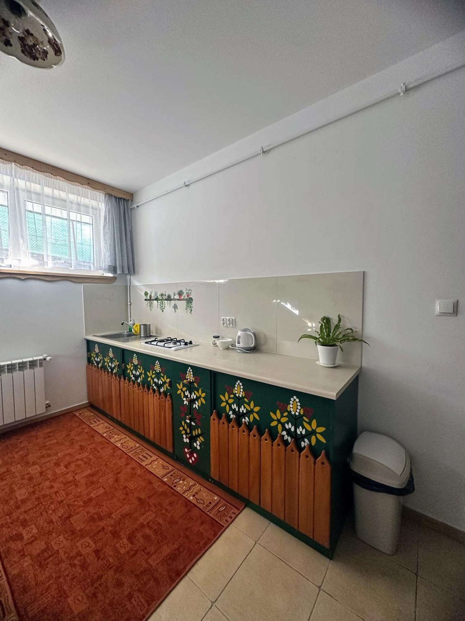 Podhalanska Chata Закопане Екстериор снимка